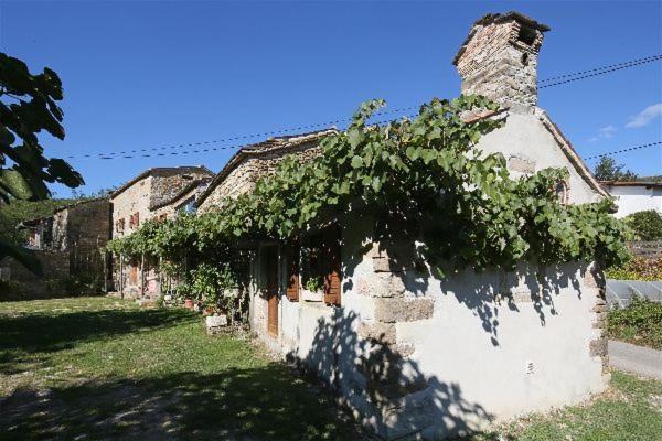 Socerga Istrian Experienceヴィラ エクステリア 写真