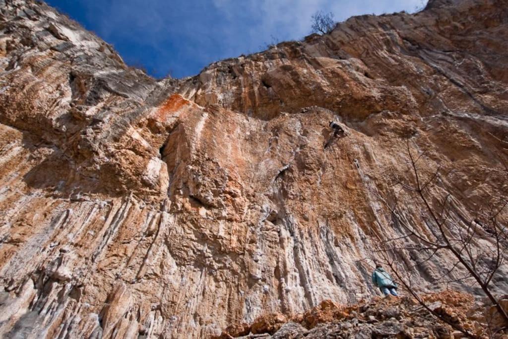 Socerga Istrian Experienceヴィラ エクステリア 写真
