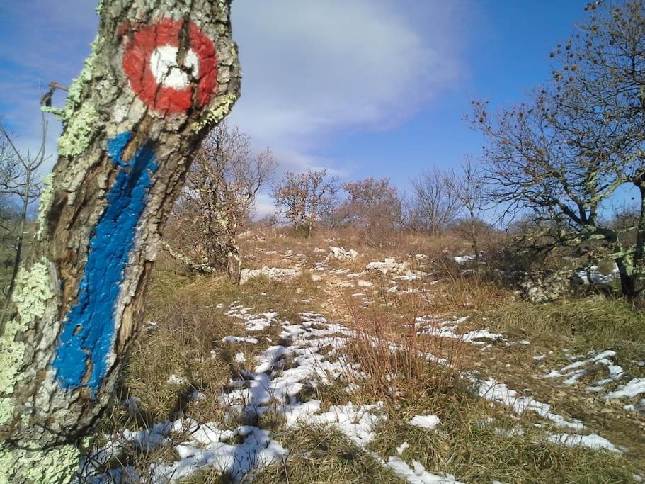 Socerga Istrian Experienceヴィラ エクステリア 写真