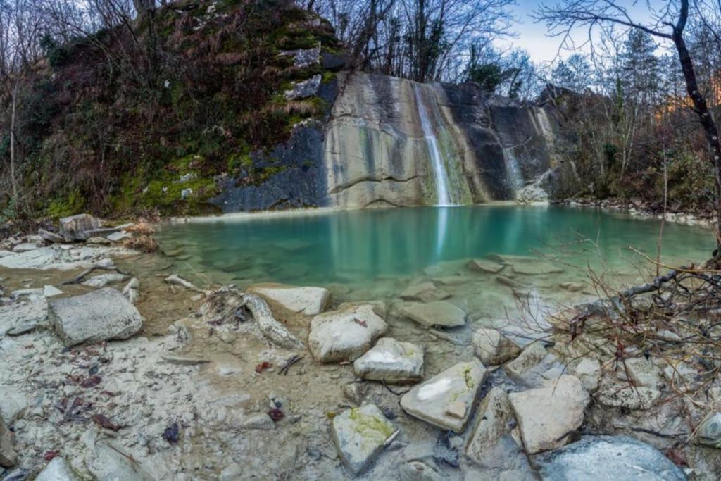 Socerga Istrian Experienceヴィラ エクステリア 写真